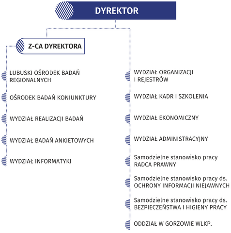 Dyrektor nadzoruje prace: zastępcy Dyrektora; Wydziałów: Organizacji i Rejestrów, Kadr i Szkolenia, Ekonomicznego, Administracyjnego; Samodzielnych stanowisk pracy: Radcy Prawnego, ds. Ochrony Informacji Niejawnych, ds. Bezpieczeństwa i Higieny Pracy; Oddziału w Gorzowie Wlkp. Zastępca Dyrektora nadzoruje prace: Lubuskiego Ośrodka Badań Regionalnych; Ośrodka Badań Koniunktury; Wydziałów: Realizacji Badań, Badań Ankietowych, Informatyki.